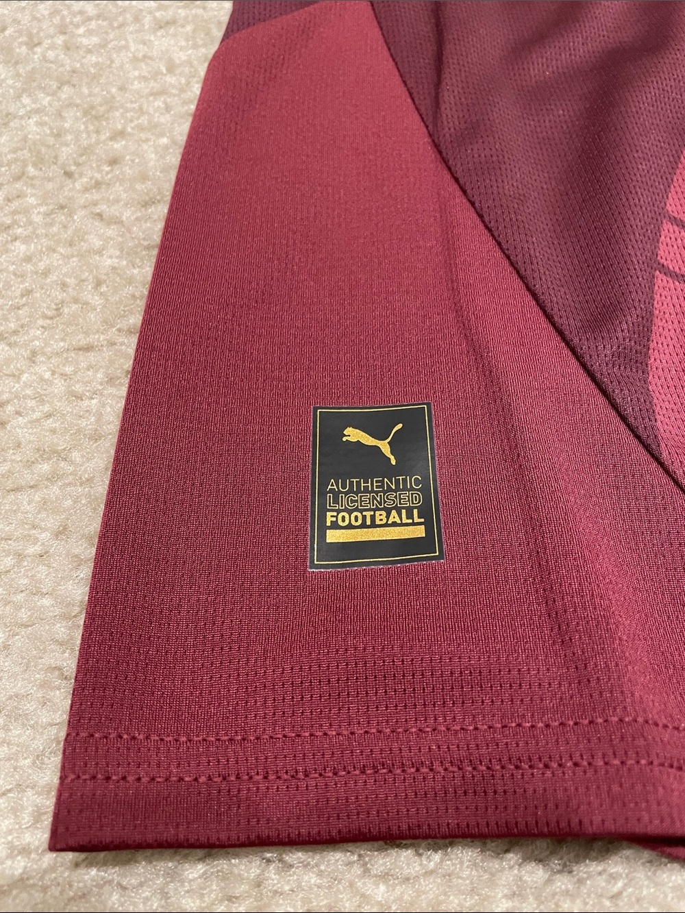 Puma Manchester City Third Jersey 24/25 men size L NWT - Picture 5 of 9